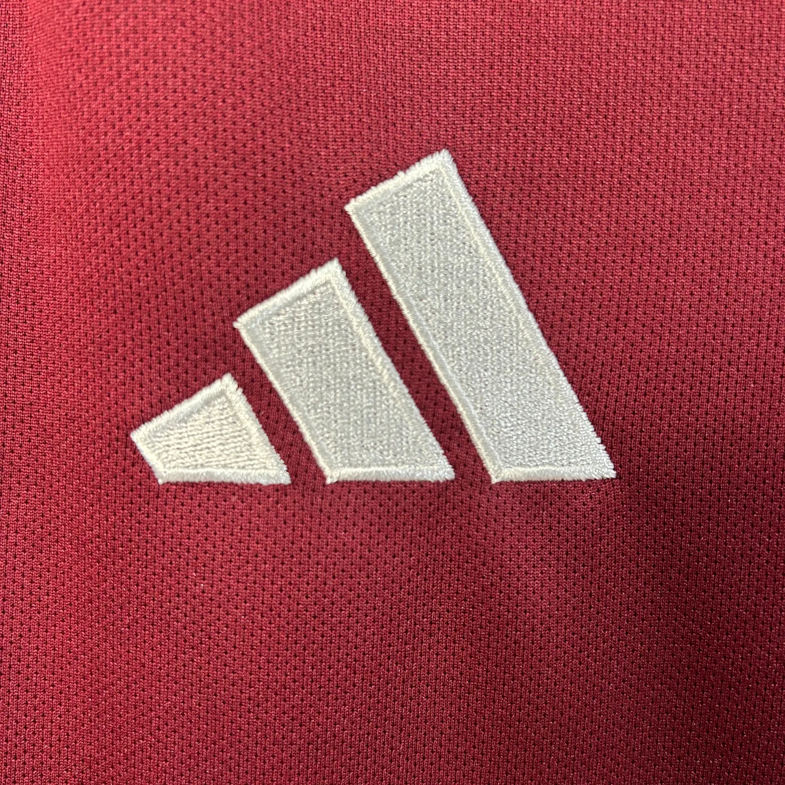 2025/26 Aston Villa Home Shirt thumbnail 6