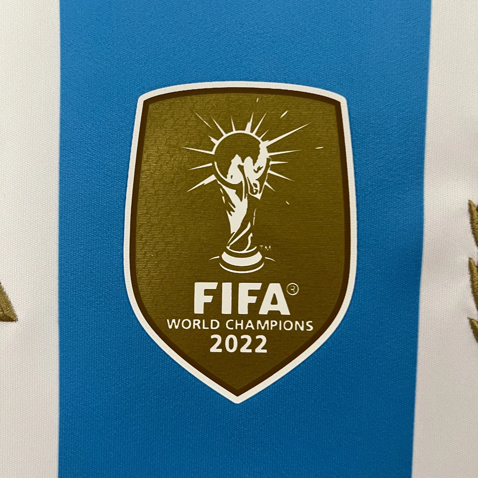 2024/25 Argentina Home Shirt thumbnail 2