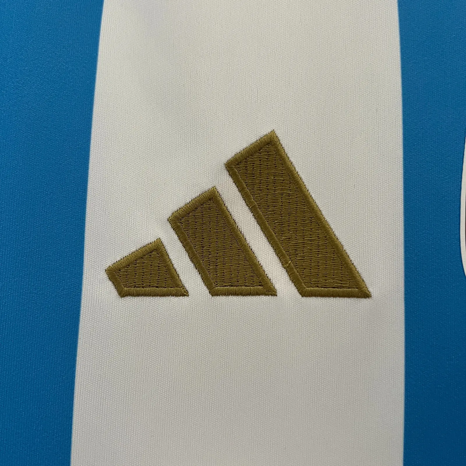 2024/25 Argentina Home Shirt thumbnail 5