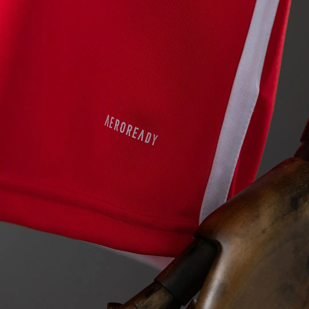 Internacional 2024/25 Home Shirt thumbnail 5